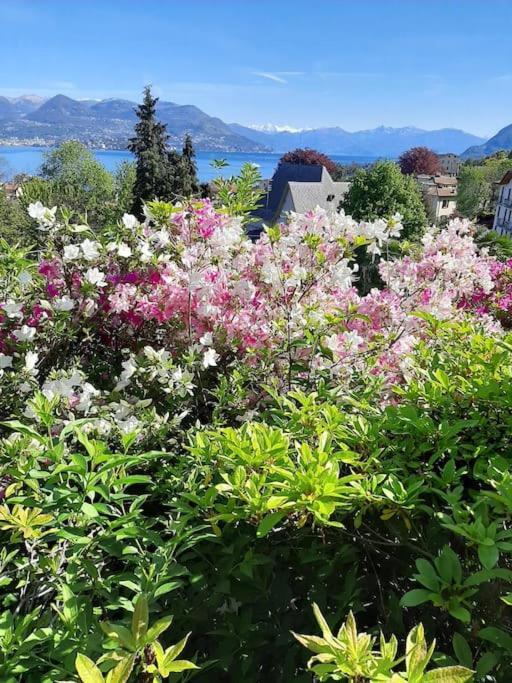 La Finestra Sul Lago - In Villa Con Vista E Posto Auto Coperto Стреза Экстерьер фото